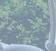 cornerofficeheader1